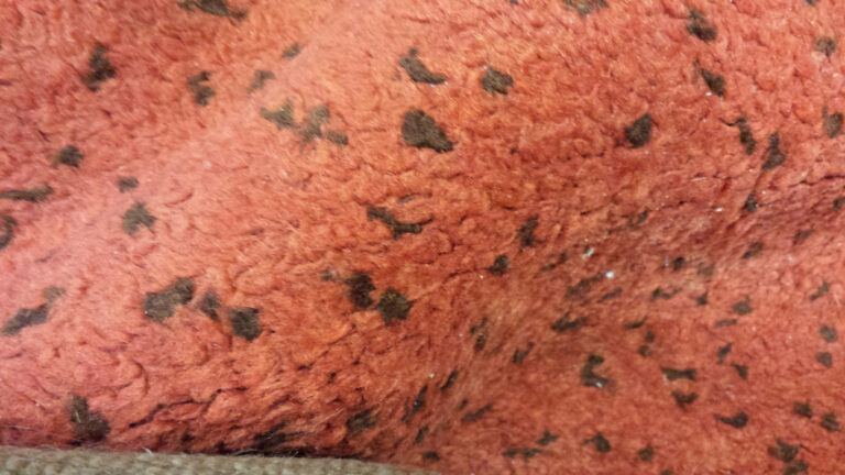 Antonín Kybal K 54/2